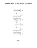 BLOOD-TISSUE SURFACE BASED RADIOSURGICAL RENAL TREATMENT PLANNING diagram and image