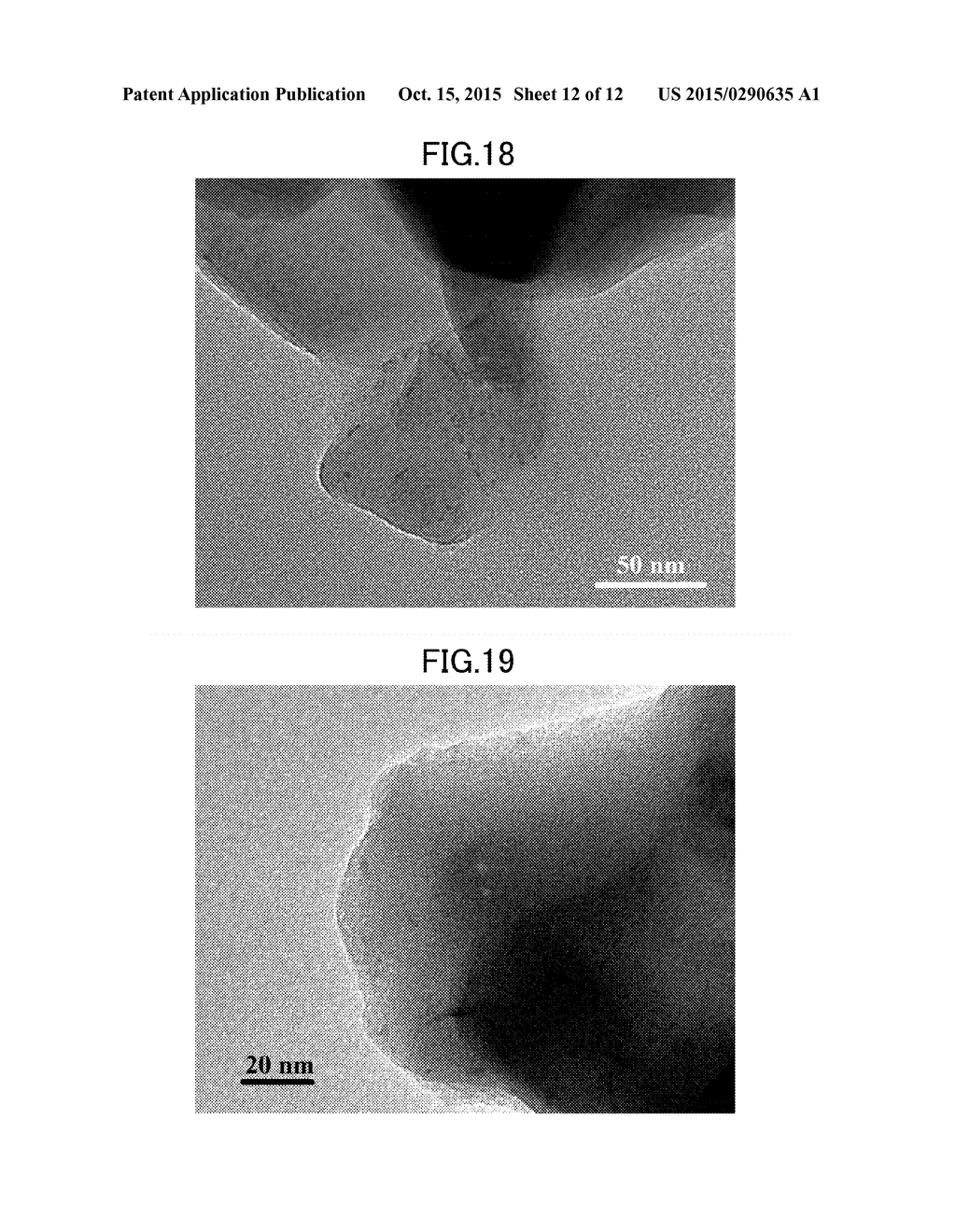 METHOD FOR PRODUCING METAL NANOPARTICLE COMPLEX, AND METAL NANOPARTICLE     COMPLEX PRODUCED BY SAID METHOD - diagram, schematic, and image 13