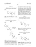 INSECTICIDAL COMPOUNDS diagram and image