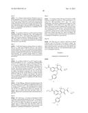 HEPATITIS C INHIBITOR COMPOUNDS diagram and image