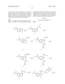 HEPATITIS C INHIBITOR COMPOUNDS diagram and image