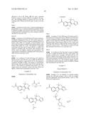 HEPATITIS C INHIBITOR COMPOUNDS diagram and image