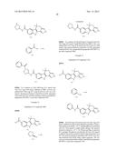 HEPATITIS C INHIBITOR COMPOUNDS diagram and image