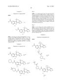 HEPATITIS C INHIBITOR COMPOUNDS diagram and image