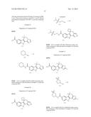 HEPATITIS C INHIBITOR COMPOUNDS diagram and image