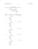 HEPATITIS C INHIBITOR COMPOUNDS diagram and image