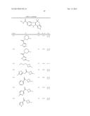 HEPATITIS C INHIBITOR COMPOUNDS diagram and image