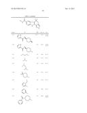 HEPATITIS C INHIBITOR COMPOUNDS diagram and image