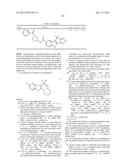 HEPATITIS C INHIBITOR COMPOUNDS diagram and image