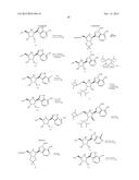 ANTIVIRAL AZASUGAR-CONTAINING NUCLEOSIDES diagram and image