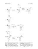 ANTIVIRAL AZASUGAR-CONTAINING NUCLEOSIDES diagram and image