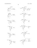 ANTIVIRAL AZASUGAR-CONTAINING NUCLEOSIDES diagram and image