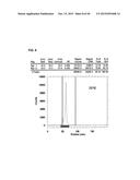 NOVEL TETRAAZA MACROCYCLIC COMPOUND, PREPARATION METHOD THEREOF AND USE     THEREOF diagram and image