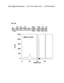 NOVEL TETRAAZA MACROCYCLIC COMPOUND, PREPARATION METHOD THEREOF AND USE     THEREOF diagram and image