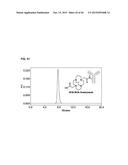 NOVEL TETRAAZA MACROCYCLIC COMPOUND, PREPARATION METHOD THEREOF AND USE     THEREOF diagram and image