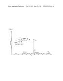 NOVEL TETRAAZA MACROCYCLIC COMPOUND, PREPARATION METHOD THEREOF AND USE     THEREOF diagram and image