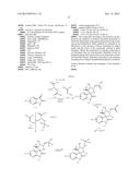 NEW SPIRO[3H-INDOLE-3,2 -PYRROLIDIN]-2(1H)-ONE COMPOUNDS AND DERIVATIVES     AS MDM2-P53 INHIBITORS diagram and image