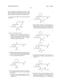 SOLOMONAMIDE ANALOGUE COMPOUNDS, PHARMACEUTICALS CONTAINING SOLOMONAMIDE     ANALOGUE COMPOUNDS, AND PROCESSES FOR THE PREPARATION THEREOF diagram and image