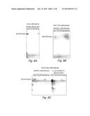 MODIFIED BIOTIN-BINDING PROTEIN diagram and image