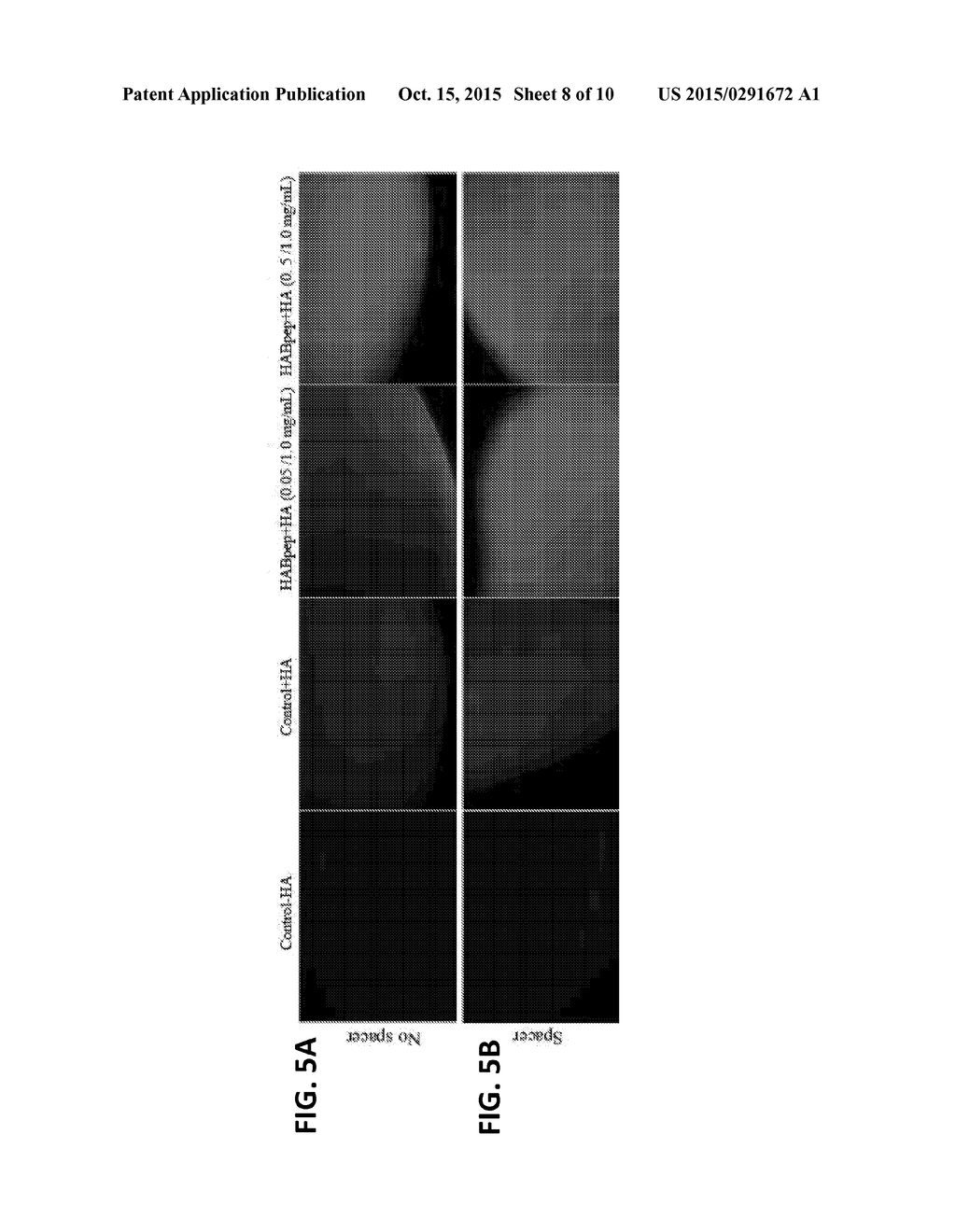 Contact Lens Surface Modification with Hyaluronic Acid (HA) Binding     Peptide for HA Accumulation and Retention - diagram, schematic, and image 09