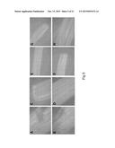 SPIDER SILK FUSION PROTEIN STRUCTURES FOR BINDING TO AN ORGANIC TARGET diagram and image