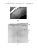 SPIDER SILK FUSION PROTEIN STRUCTURES FOR BINDING TO AN ORGANIC TARGET diagram and image