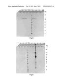 SPIDER SILK FUSION PROTEIN STRUCTURES FOR BINDING TO AN ORGANIC TARGET diagram and image