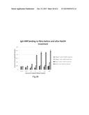 SPIDER SILK FUSION PROTEIN STRUCTURES FOR BINDING TO AN ORGANIC TARGET diagram and image