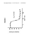 AGLYCOSYLATED HUMAN ANTIBODY AND FUSION PROTEIN AND USES THEREOF diagram and image