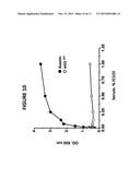 AGLYCOSYLATED HUMAN ANTIBODY AND FUSION PROTEIN AND USES THEREOF diagram and image