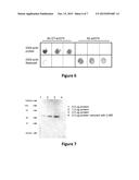 Compositions and Methods for Redox Modulated Proteins diagram and image