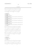 ANTIBODY CAPABLE OF SPECIFICALLY RECOGNIZING TRANSFERRIN RECEPTOR diagram and image