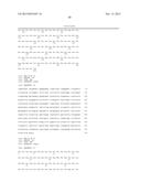 ANTIBODY CAPABLE OF SPECIFICALLY RECOGNIZING TRANSFERRIN RECEPTOR diagram and image