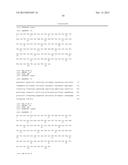 ANTIBODY CAPABLE OF SPECIFICALLY RECOGNIZING TRANSFERRIN RECEPTOR diagram and image