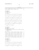 ANTIBODY CAPABLE OF SPECIFICALLY RECOGNIZING TRANSFERRIN RECEPTOR diagram and image