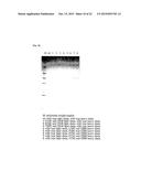 ANTIBODY AND ANTIBODY COMPOSITION PRODUCTION METHOD diagram and image