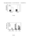 CELL CULTURE MEDIUM FOR ENHANCED HEPATOCYTE FUNCTION diagram and image