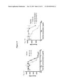 Methods and Vectors for Generating Asialylated Immunoglobulins diagram and image