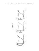 Methods and Vectors for Generating Asialylated Immunoglobulins diagram and image