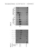 PHOTOCLEAVABLE LINKER diagram and image