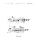 GENOME EDITING diagram and image