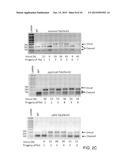 GENOME EDITING diagram and image