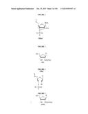 METHODS AND COMPOSITIONS TO PRODUCE ss-RNAi ACTIVITY WITH ENHANCED POTENCY diagram and image