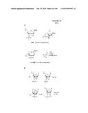 METHODS AND COMPOSITIONS TO PRODUCE ss-RNAi ACTIVITY WITH ENHANCED POTENCY diagram and image