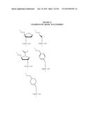 METHODS AND COMPOSITIONS TO PRODUCE ss-RNAi ACTIVITY WITH ENHANCED POTENCY diagram and image