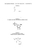 METHODS AND COMPOSITIONS TO PRODUCE ss-RNAi ACTIVITY WITH ENHANCED POTENCY diagram and image