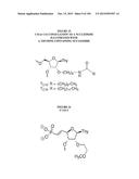 METHODS AND COMPOSITIONS TO PRODUCE ss-RNAi ACTIVITY WITH ENHANCED POTENCY diagram and image