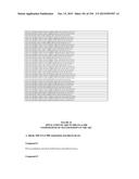 METHODS AND COMPOSITIONS TO PRODUCE ss-RNAi ACTIVITY WITH ENHANCED POTENCY diagram and image