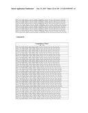 METHODS AND COMPOSITIONS TO PRODUCE ss-RNAi ACTIVITY WITH ENHANCED POTENCY diagram and image