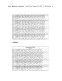 METHODS AND COMPOSITIONS TO PRODUCE ss-RNAi ACTIVITY WITH ENHANCED POTENCY diagram and image